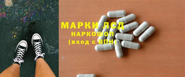 индика Алексин