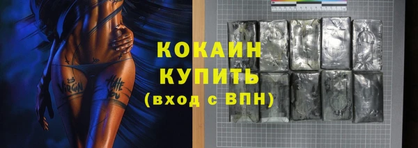 индика Алексин
