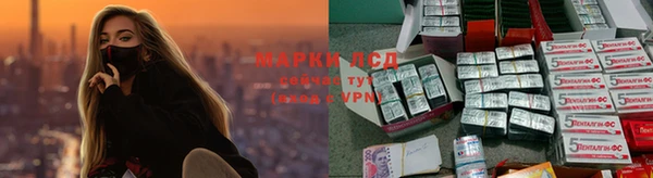 гидропоника Алексеевка