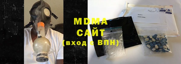 индика Алексин