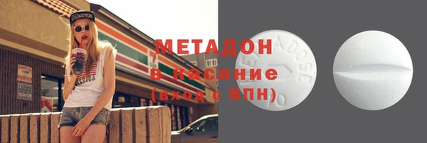 индика Алексин