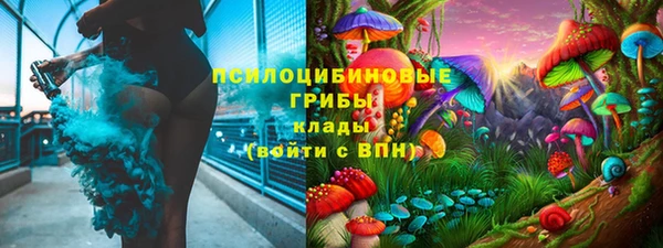 индика Алексин