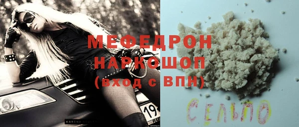 индика Алексин