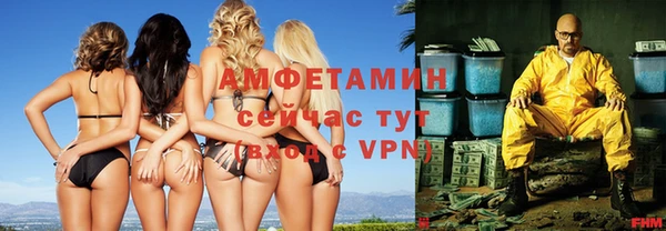 ECSTASY Алзамай