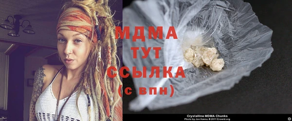 индика Алексин