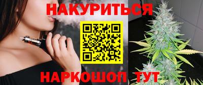 индика Заволжье