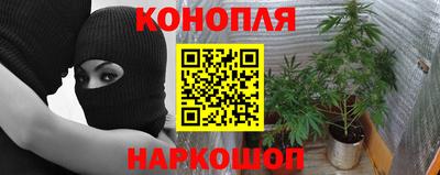 индика Заволжье
