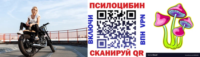 наркота  Мыски  Галлюциногенные грибы прущие грибы 