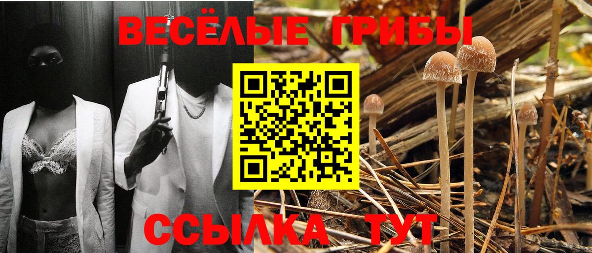Псилоцибиновые грибы Magic Shrooms Мыски