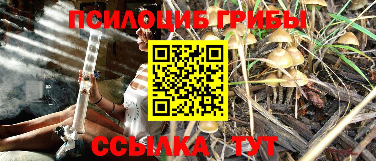 Мыски  Галлюциногенные грибы Psilocybe  Псилоцибиновые грибы Psilocybe  даркнет сайт  Вход с VPN 
